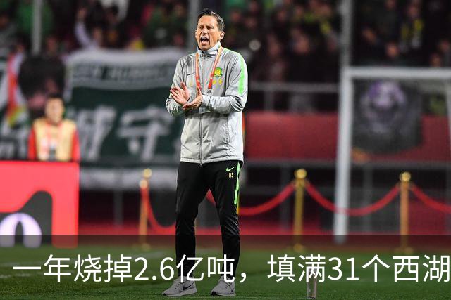 一年烧掉2.6亿吨，填满31个西湖！中国的垃圾，不够烧了？