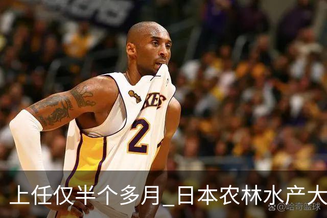 上任仅半个多月 日本农林水产大臣就不当言论道歉