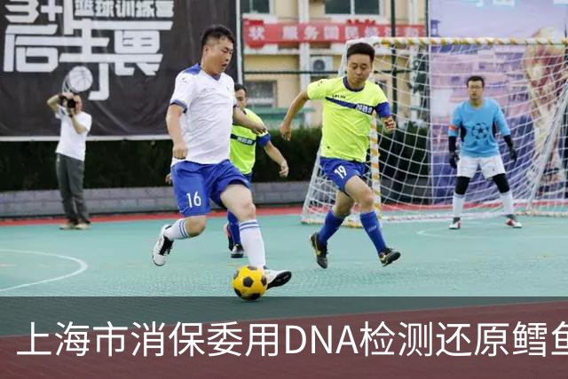上海市消保委用DNA检测还原鳕鱼营养真相