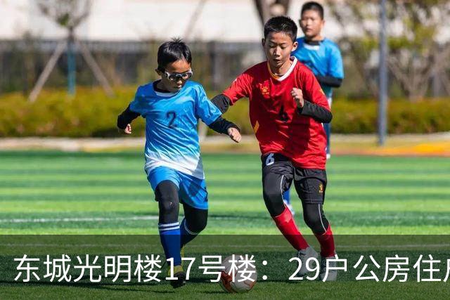 东城光明楼17号楼：29户公房住户凑钱把楼拆了重建