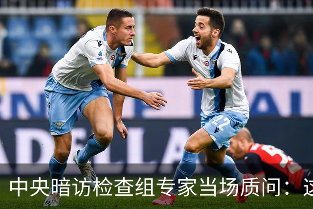 中央暗访检查组专家当场质问：这个地方怎么没有铭牌？