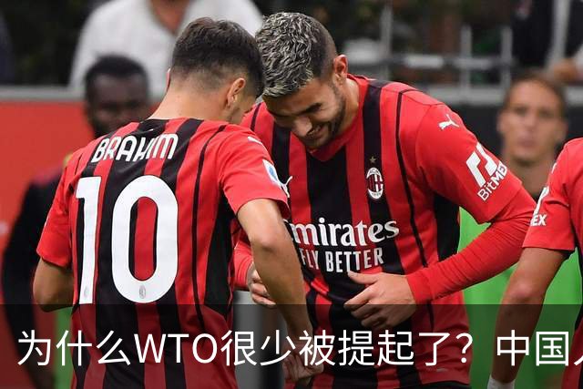 为什么WTO很少被提起了？中国入世谈判花了15年，如今几乎被架空