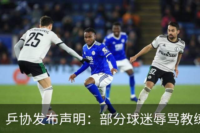 乒协发布声明：部分球迷辱骂教练+骚扰球员 已向公安报案