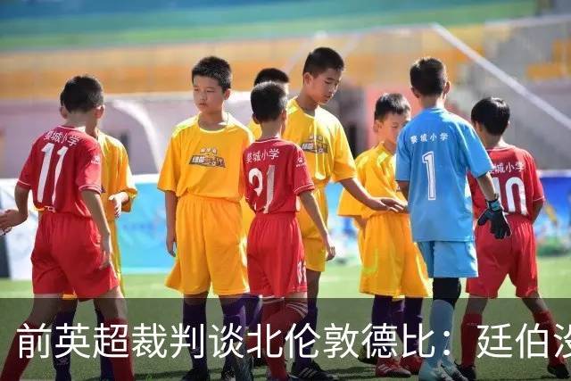 前英超裁判谈北伦敦德比：廷伯没有染红是正确的