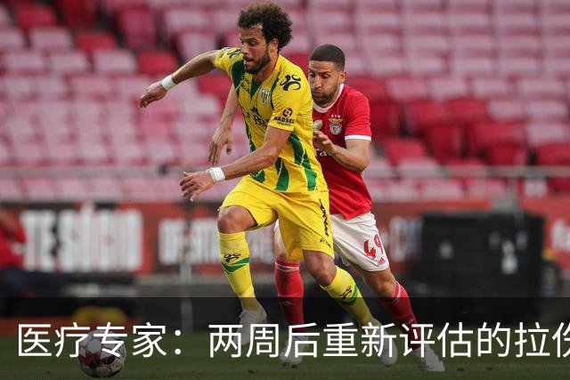 医疗专家：两周后重新评估的拉伤平均伤缺时间2.3周 为7.9场比赛