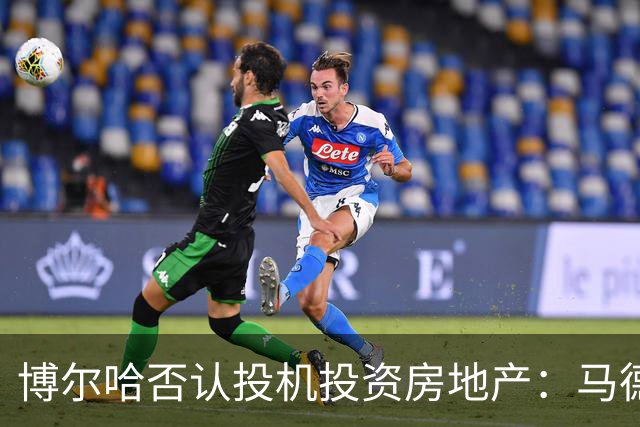 博尔哈否认投机投资房地产：马德里的房子我只占一半