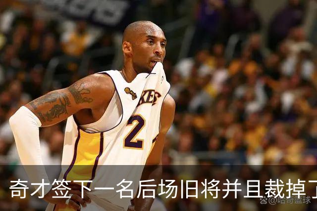 奇才签下一名后场旧将并且裁掉了刚刚签下的内线摇摆人