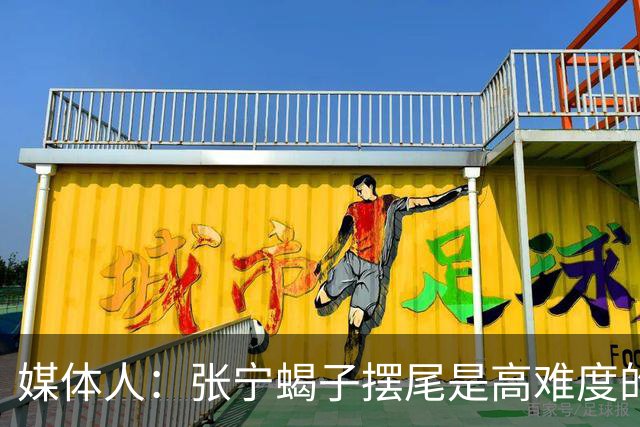 媒体人：张宁蝎子摆尾是高难度的武术技击动作 对篮球裁判有些超纲