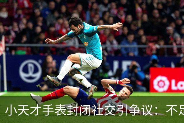 小天才手表封闭社交引争议：不足三成销量贡献超半数销售额，销售额份额排名第一；华为加速追赶