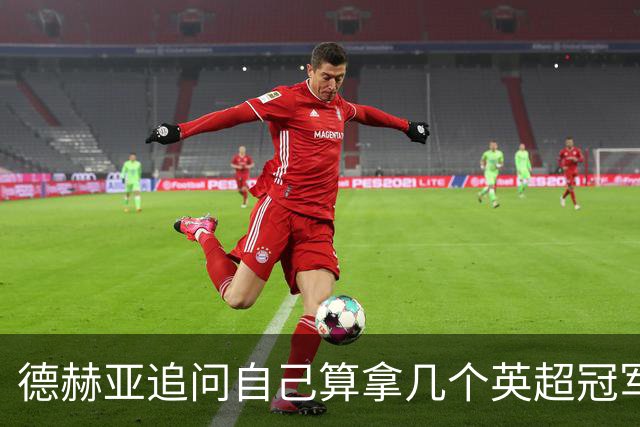 德赫亚追问自己算拿几个英超冠军，费迪南德称“又一块奖牌要进柜子”