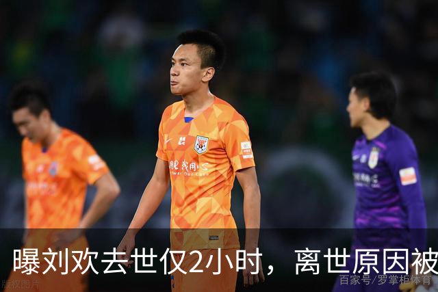 曝刘欢去世仅2小时，离世原因被扒，生前遗愿公开，女儿成遗憾