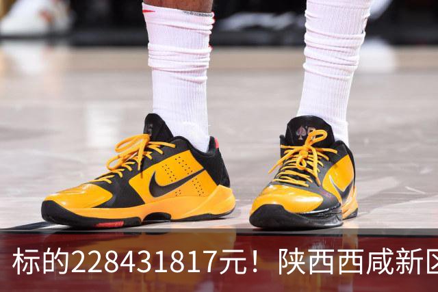 标的228431817元！陕西西咸新区发展集团有限公司新增被执行人记录