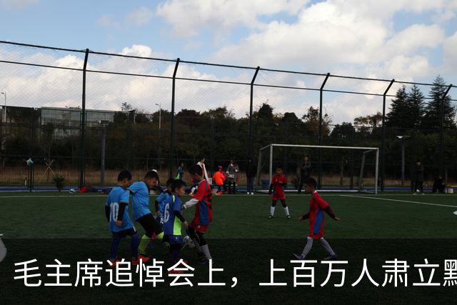 毛主席追悼会上，上百万人肃立默哀，唯有一人仍然坐着，他究竟是什么身份？