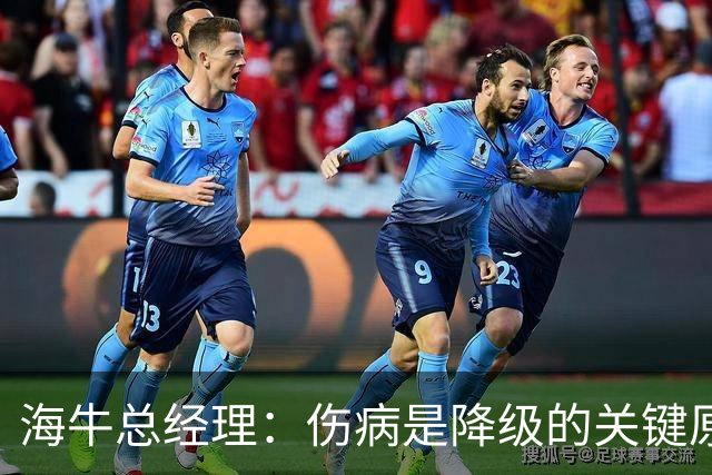 海牛总经理：伤病是降级的关键原因；会以最短时间重返中超