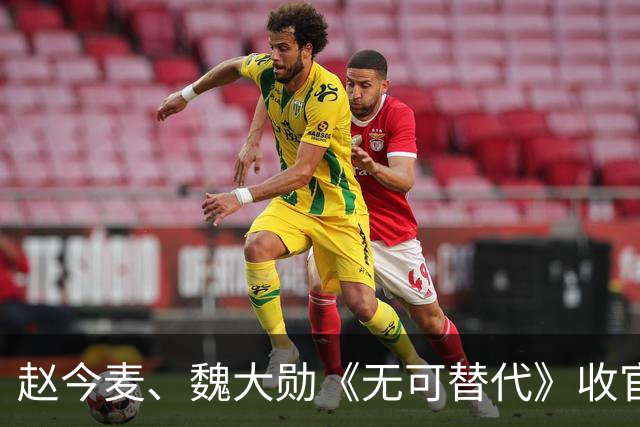 赵今麦、魏大勋《无可替代》收官，热度平平却全集有广，看完20集大结局才懂剧名含义